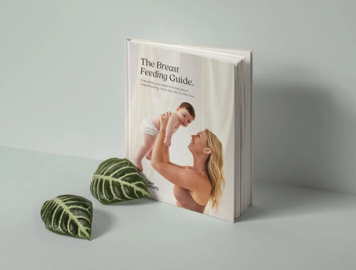 The Breastfeeding Guide