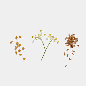 breastfeeding tea for healthy breast milk supply